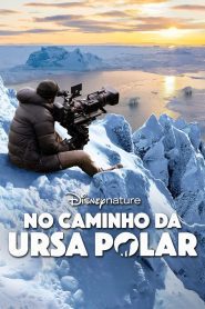 No Caminho da Ursa Polar